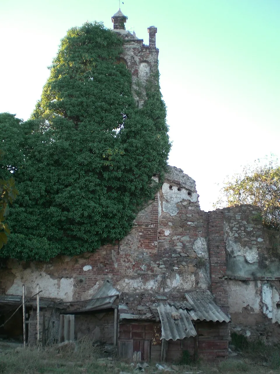 Castillo de la Hiedra