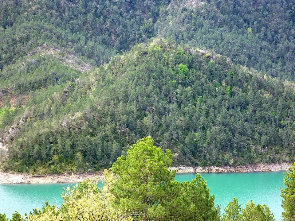 Castillo Tort