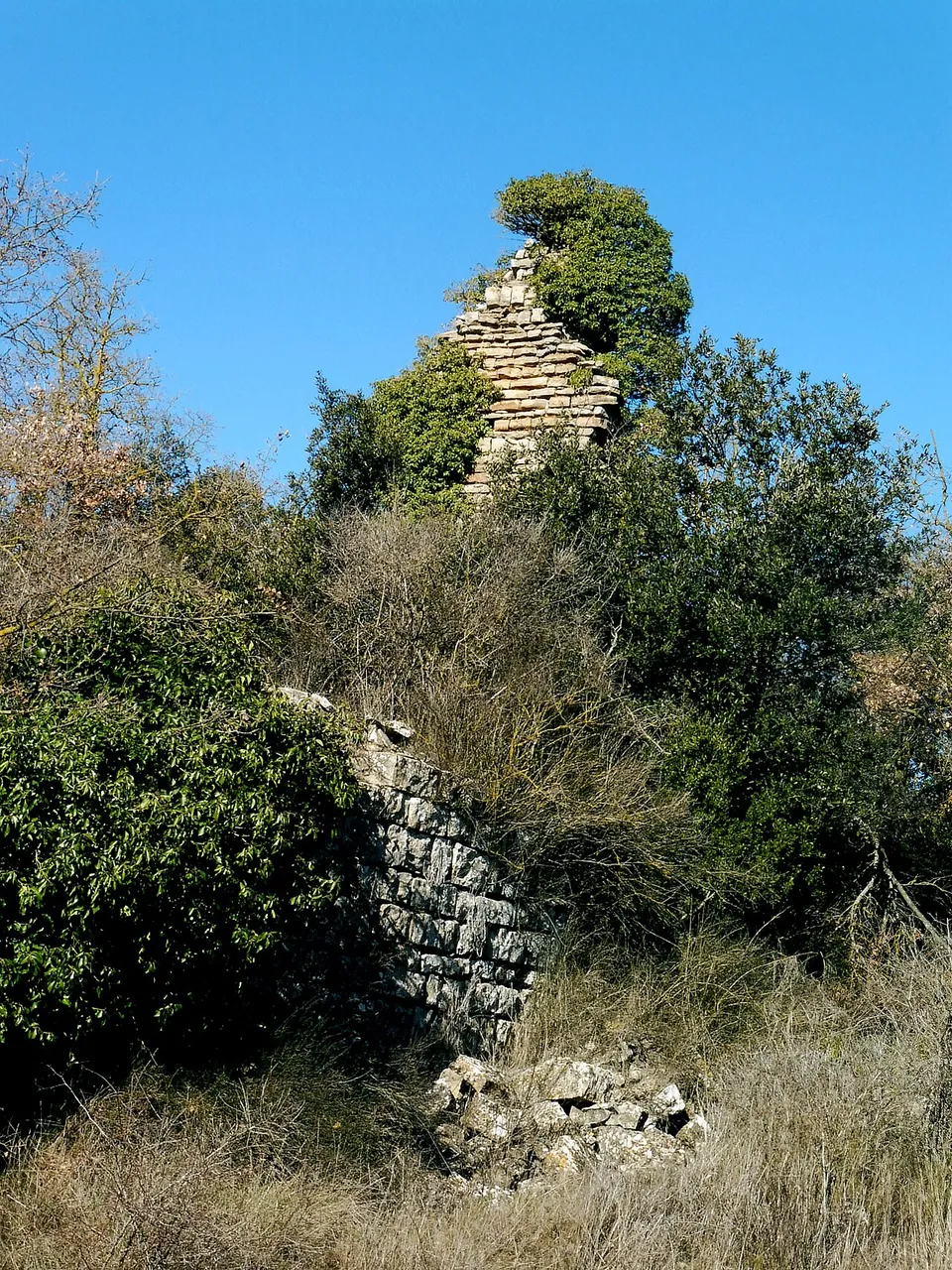 Castillo de Montesquiu