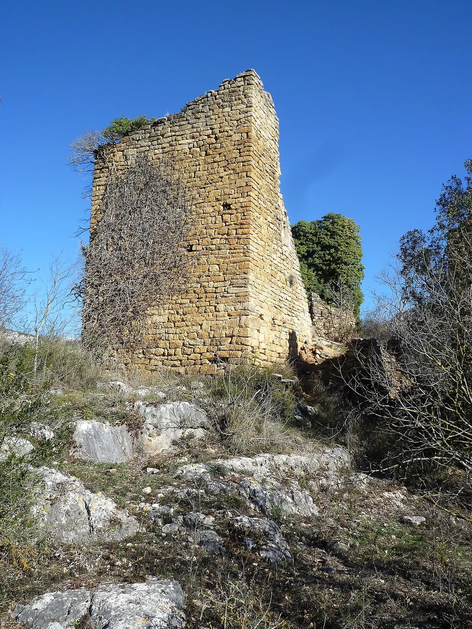 Castillo de la Vall de Ariet