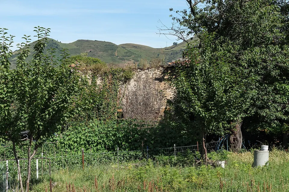 Torre De Memerea