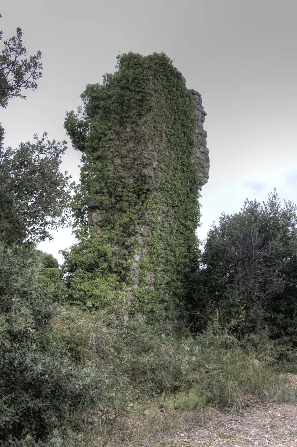 Castillo de Terradas