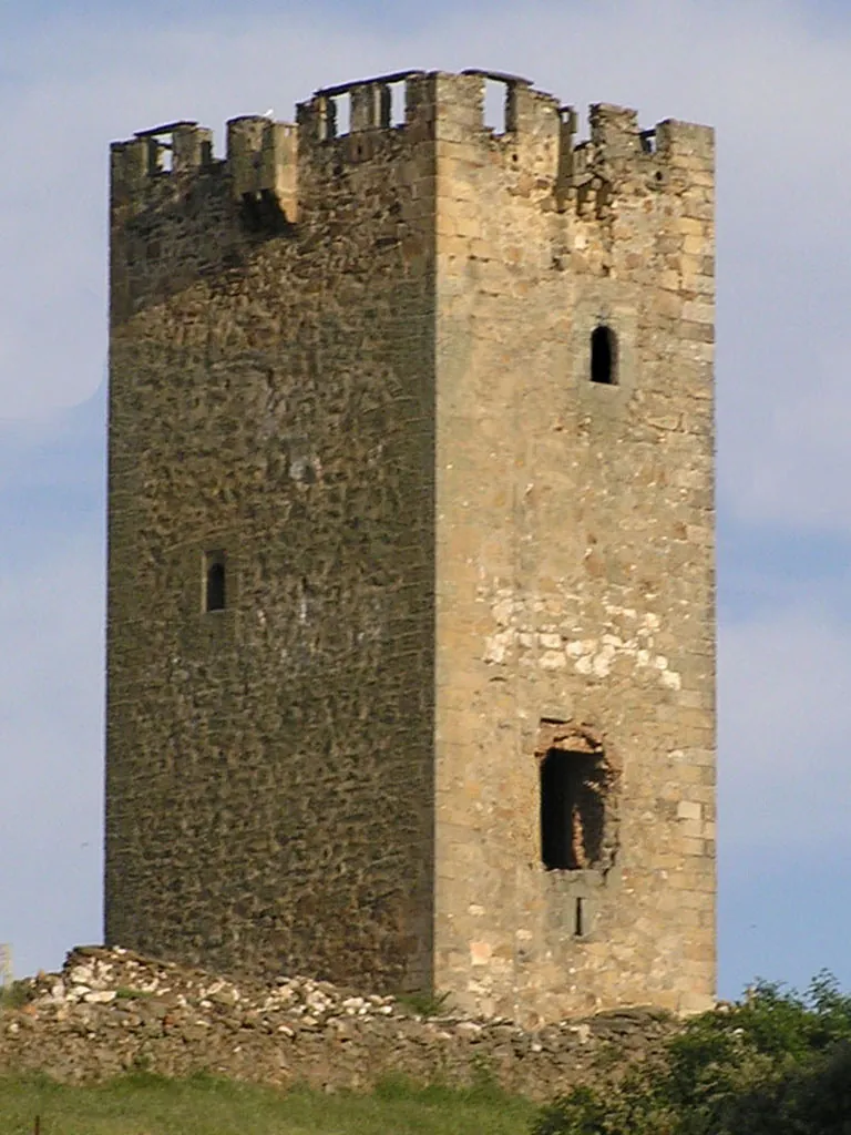 Castillo de Cespedosa de Tormes
