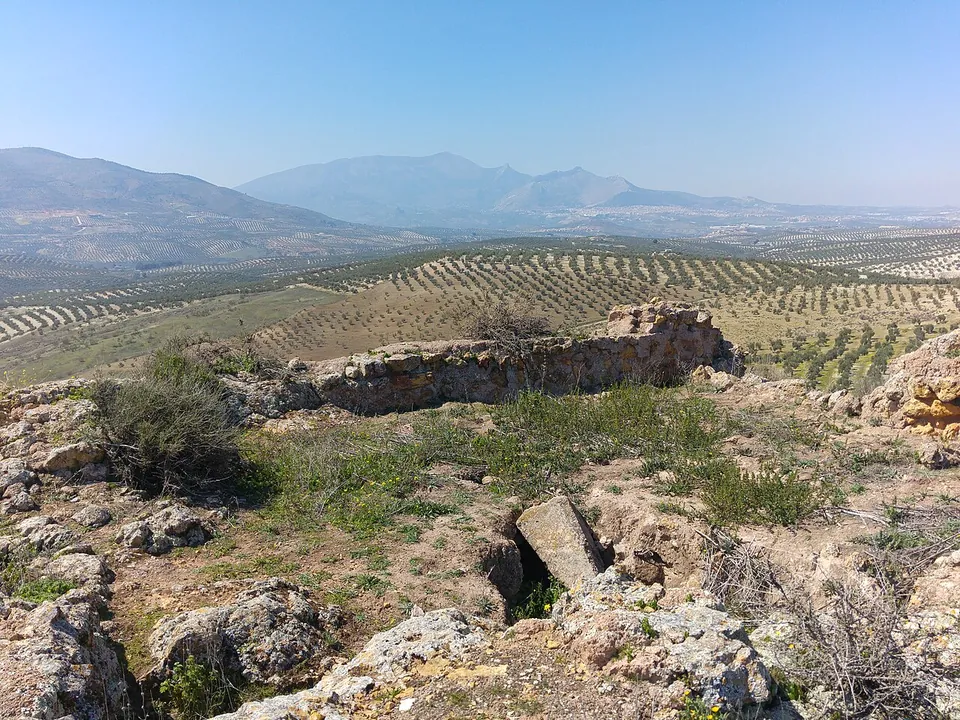 Torre Bermeja